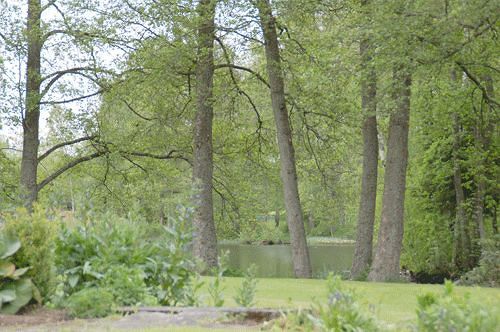 Solvikens Pensionat Ingelstad  Exteriör bild